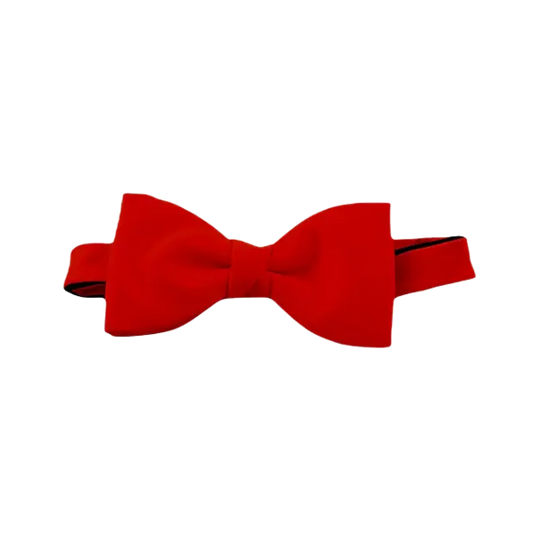 Van Buck Satin Bow Tie