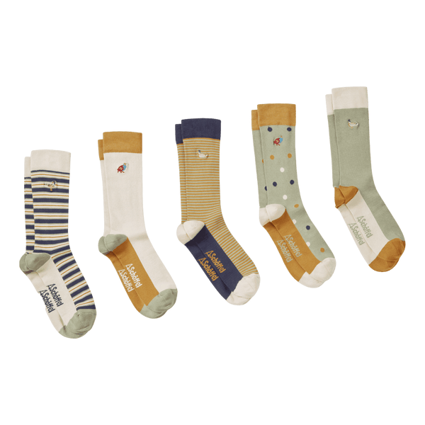 Schoffel Bamboo Socks Box Of 5