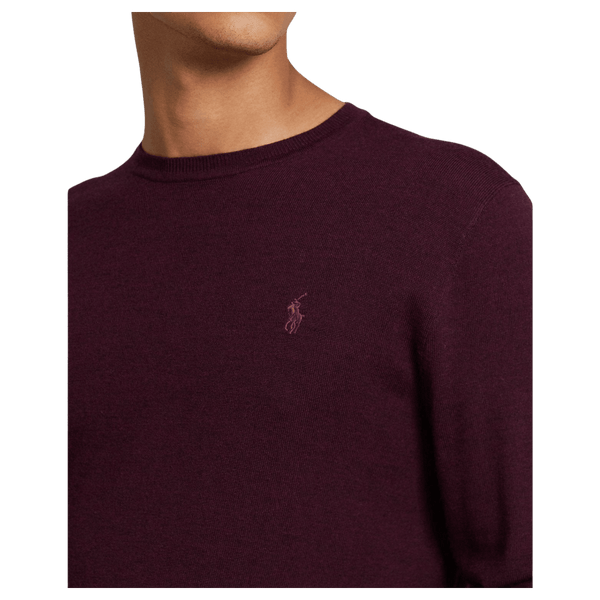 Polo Ralph Lauren Slim Fit Washable Wool Jumper