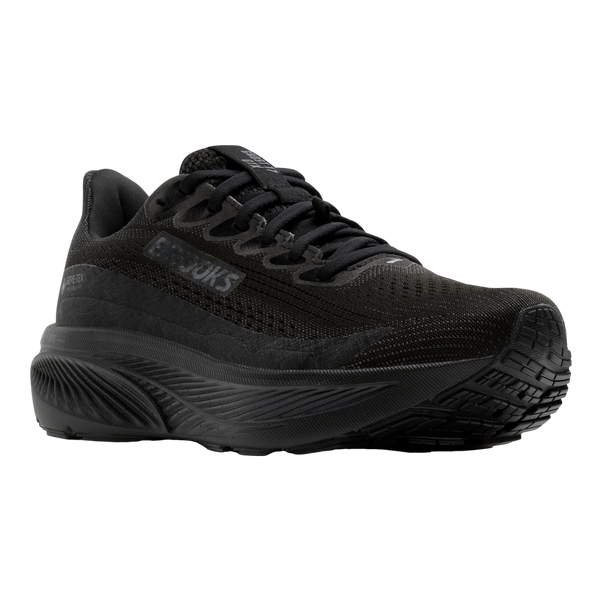 Brooks Ghost 17 Gtx Trainers