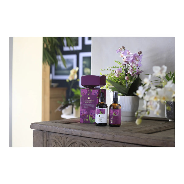 Plantsmith Orchid Care Gift Cracker