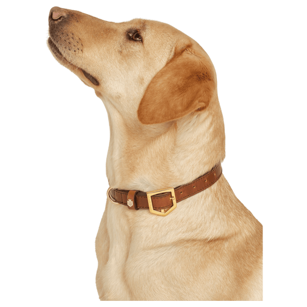 Fairfax & Favor Fitzroy Leather Dog Collar
