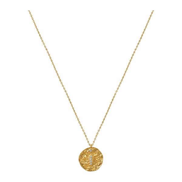 Orelia Jewellery Zodiac Medallion Necklace