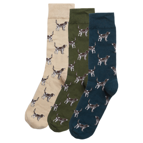 Barbour Pointer Dog Socks Gift Box