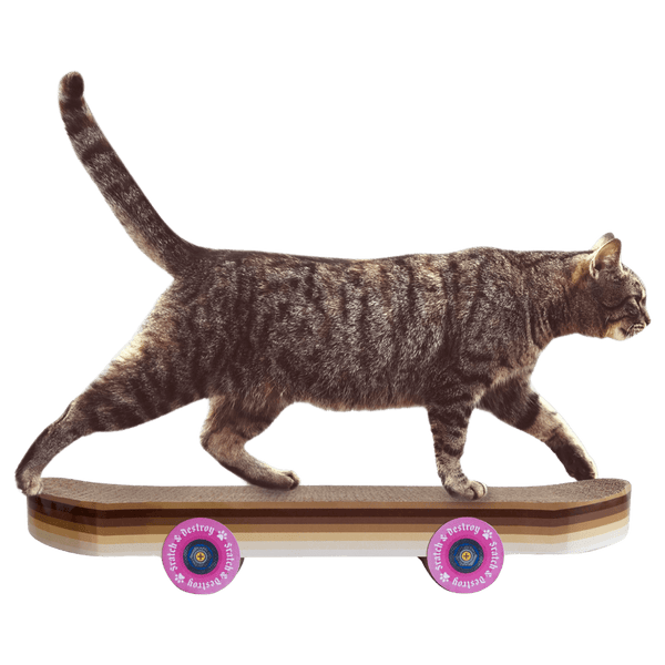Suck UK Skateboard Cat Scratcher
