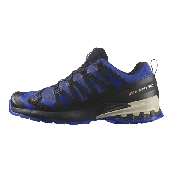 Salomon XA Pro 3D V9 GTX Walking Shoes