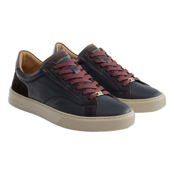 Ambitious Anopolis Trainers