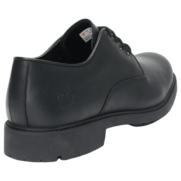 Timberland Stormbucks Shoe for Men