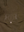 Hunter - Outdoor Gamekeeper Coat