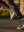 imagepopulate1