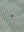 imagepopulate1