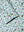 imagepopulate1