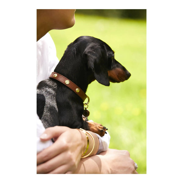 Holland Cooper Small Dog Collar