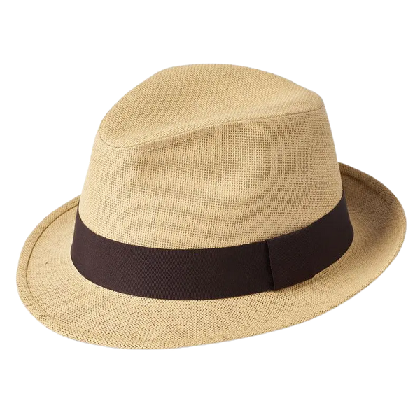 Failsworth Paper Straw Trilby Hat for Men
