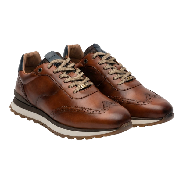 Ambitious Park Shoe