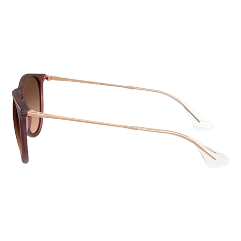 Ray-Ban Erika Sunglasses