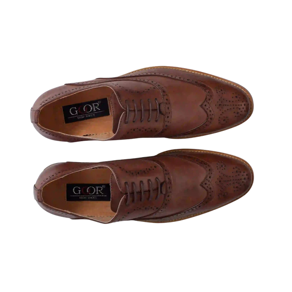 Brown Brogue Shoes in Tan