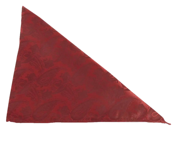 Van Buck Paisley Pocket Square Handkerchief by Van Buck for Men in Deep Red