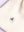imagepopulate1