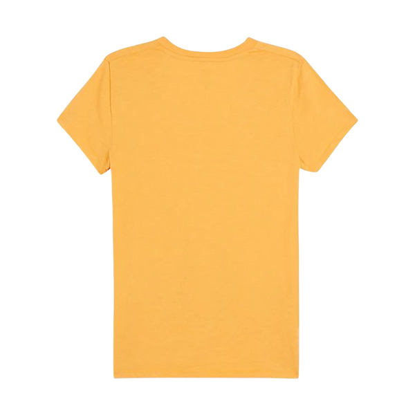 Levi's Graphic Perfect V-Neck T-Shirt
