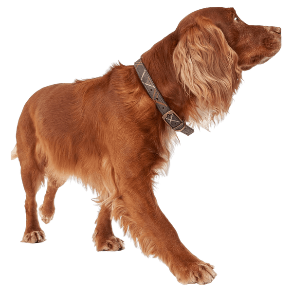 Barbour Tartan Dog Collar