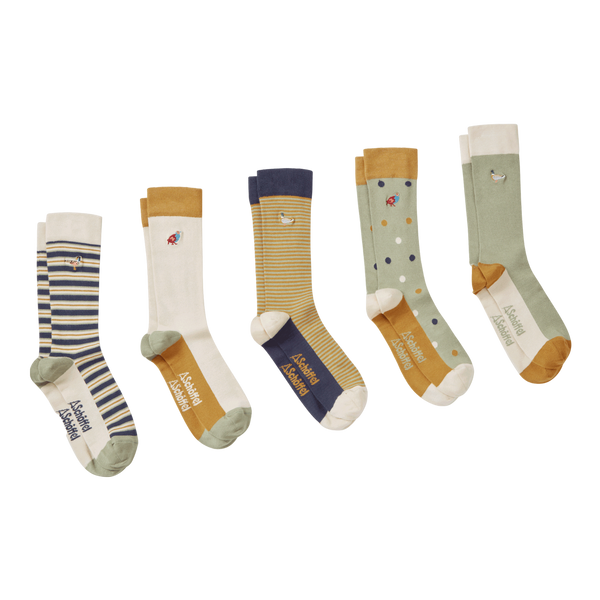 Schoffel Bamboo Socks Box Of 5