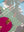 imagepopulate1
