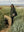 imagepopulate1