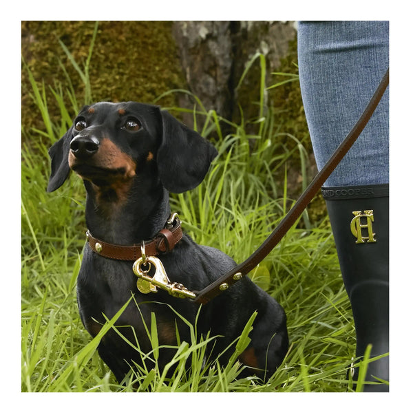 Holland Cooper Small Dog Collar