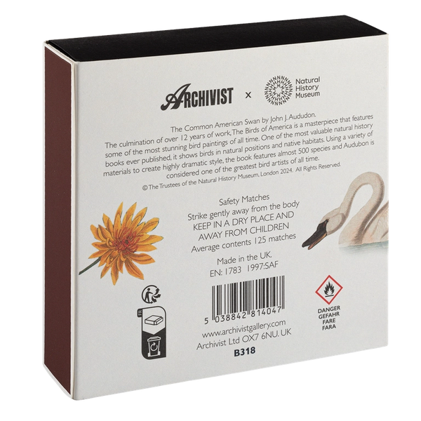 Archivist Square Matchbox