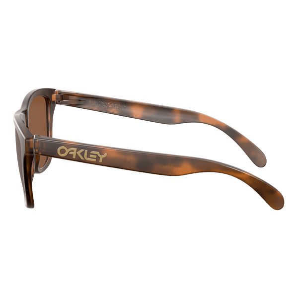 Oakley Frogskins Sunglasses