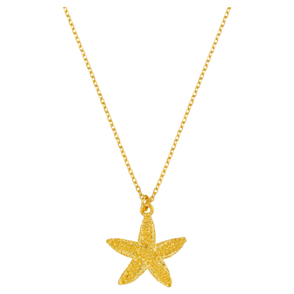 Orelia Jewellery Textured Starfish Necklace