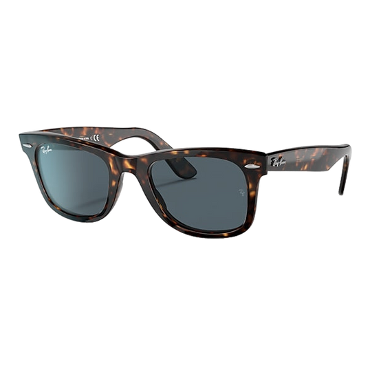 Ray-Ban Wayfarer Sunglasses