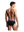 Emporio Armani Briefs 3 Pack