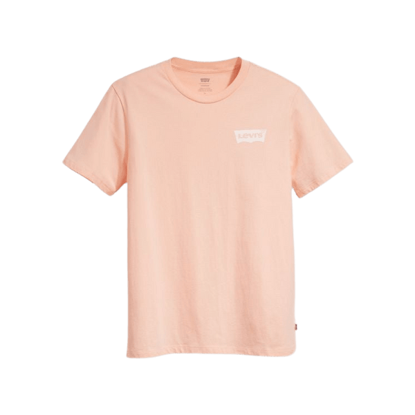 Levi's Graphic Crew Neck T-Shirt
