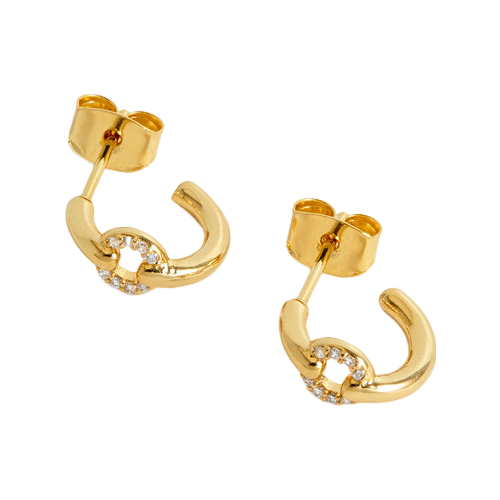 Estella Bartlett Pave Circle Hoop Earrings