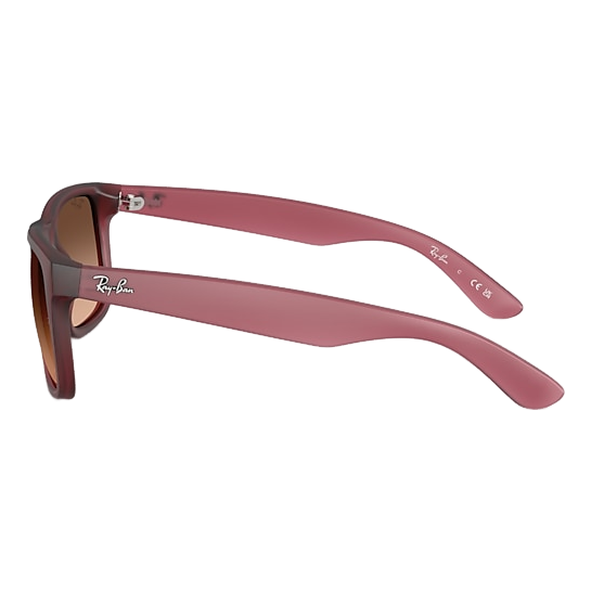 Ray-Ban Justin Sunglasses