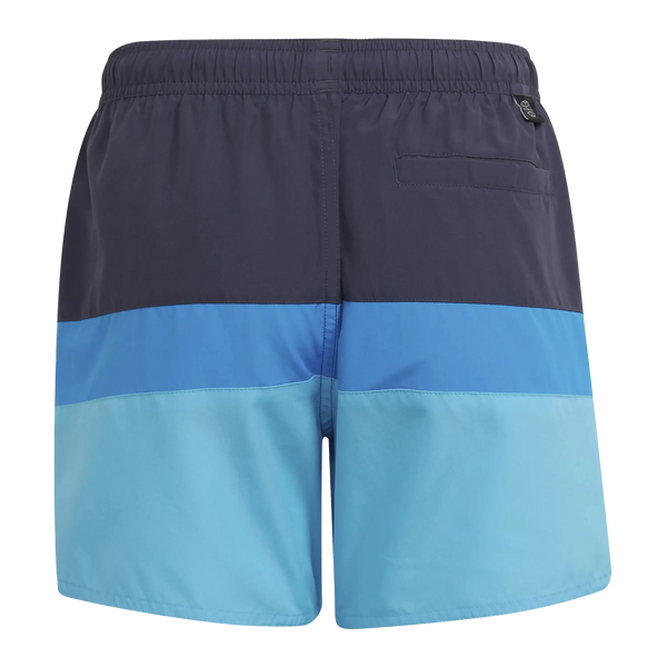 Adidas Colourblock Swim Shorts