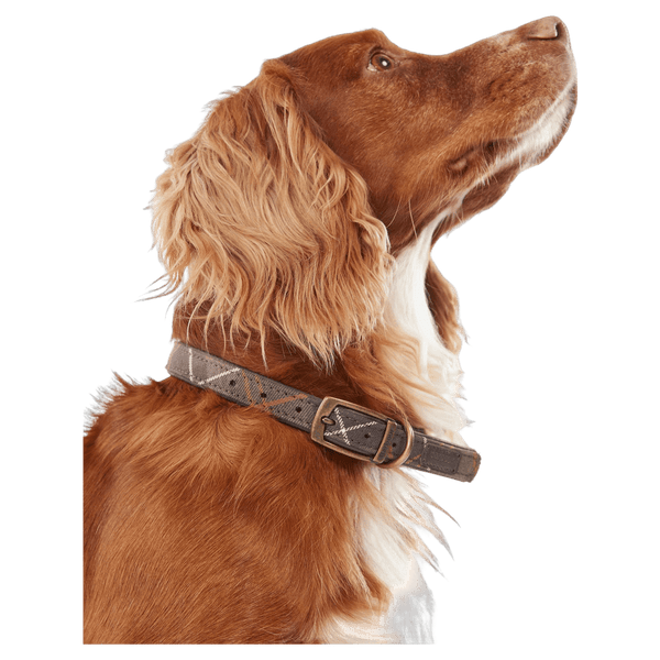 Barbour Tartan Dog Collar