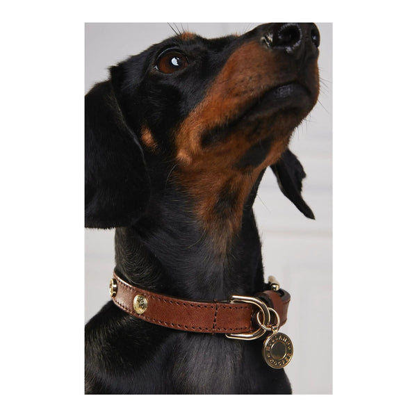 Holland Cooper Small Dog Collar