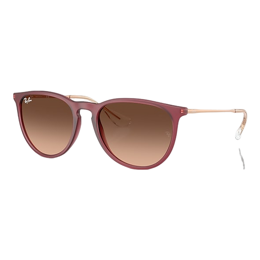 Ray-Ban Erika Sunglasses