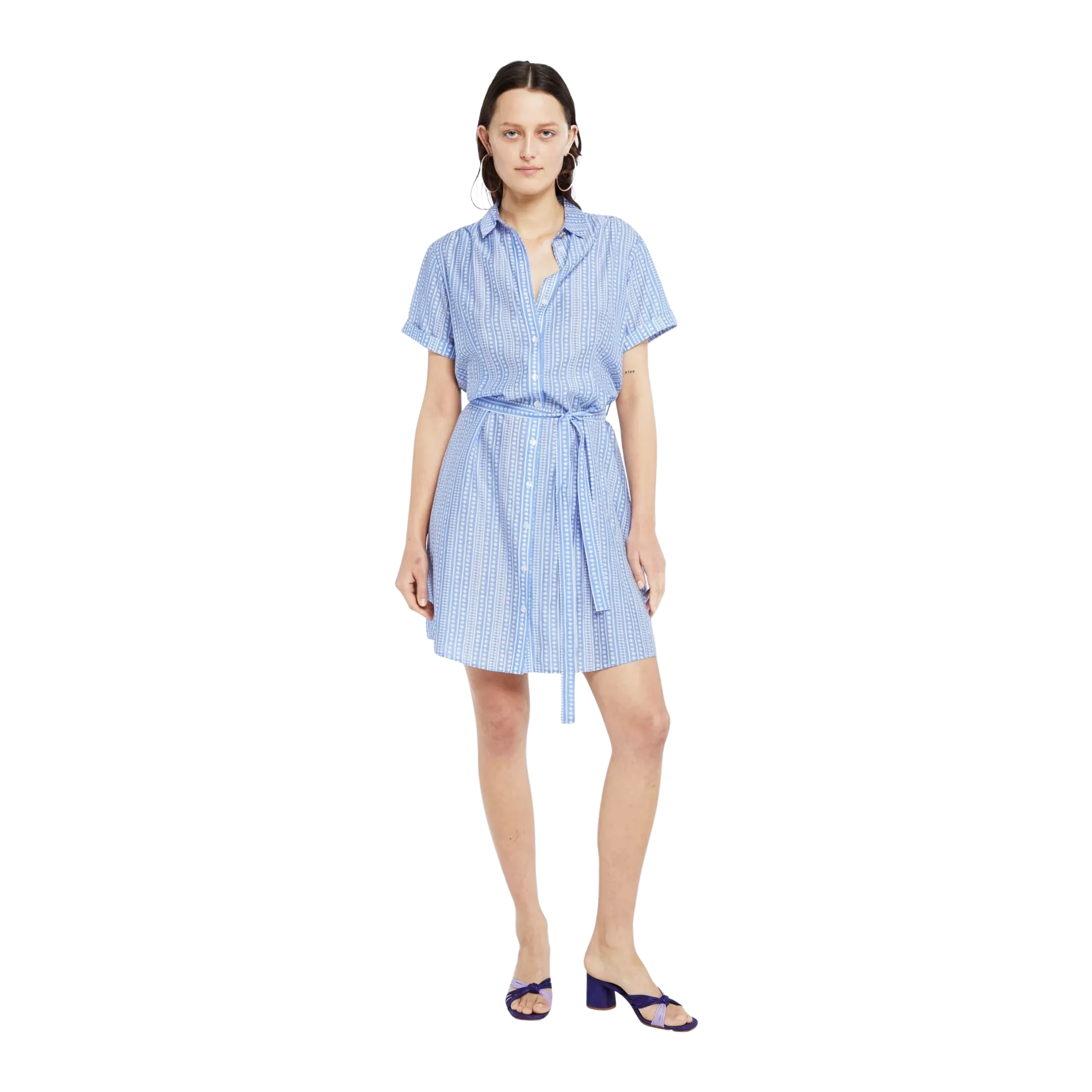 Fabienne Chapot Boyfriend Shirt Dress