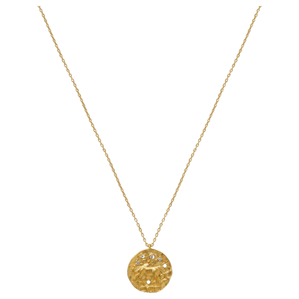 Orelia Jewellery Zodiac Medallion Necklace