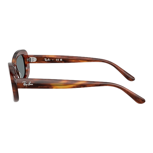 Ray-Ban 0rb2221 Sunglasses