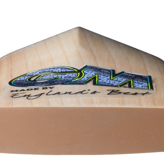 Gunn & Moore Aion 808 Cricket Bat