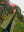 imagepopulate1