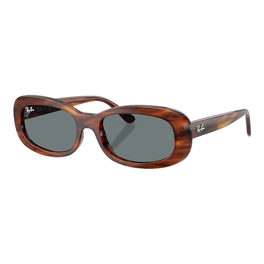 Ray-Ban 0rb2221 Sunglasses