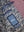 imagepopulate1