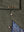 imagepopulate1