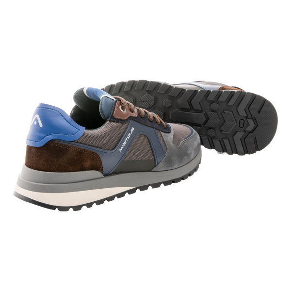 Ambitious Teddy Trainers